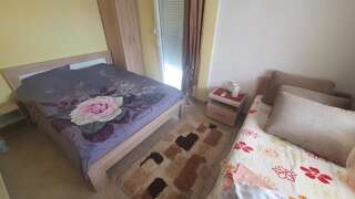 Гостевой дом Villa Constantin IVANOVIC Крашичи Двухместный номер с 1 кроватью-13