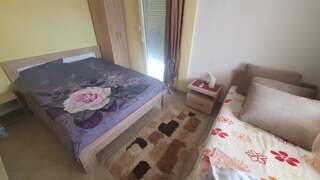 Гостевой дом Villa Constantin IVANOVIC Крашичи Двухместный номер с 1 кроватью-17